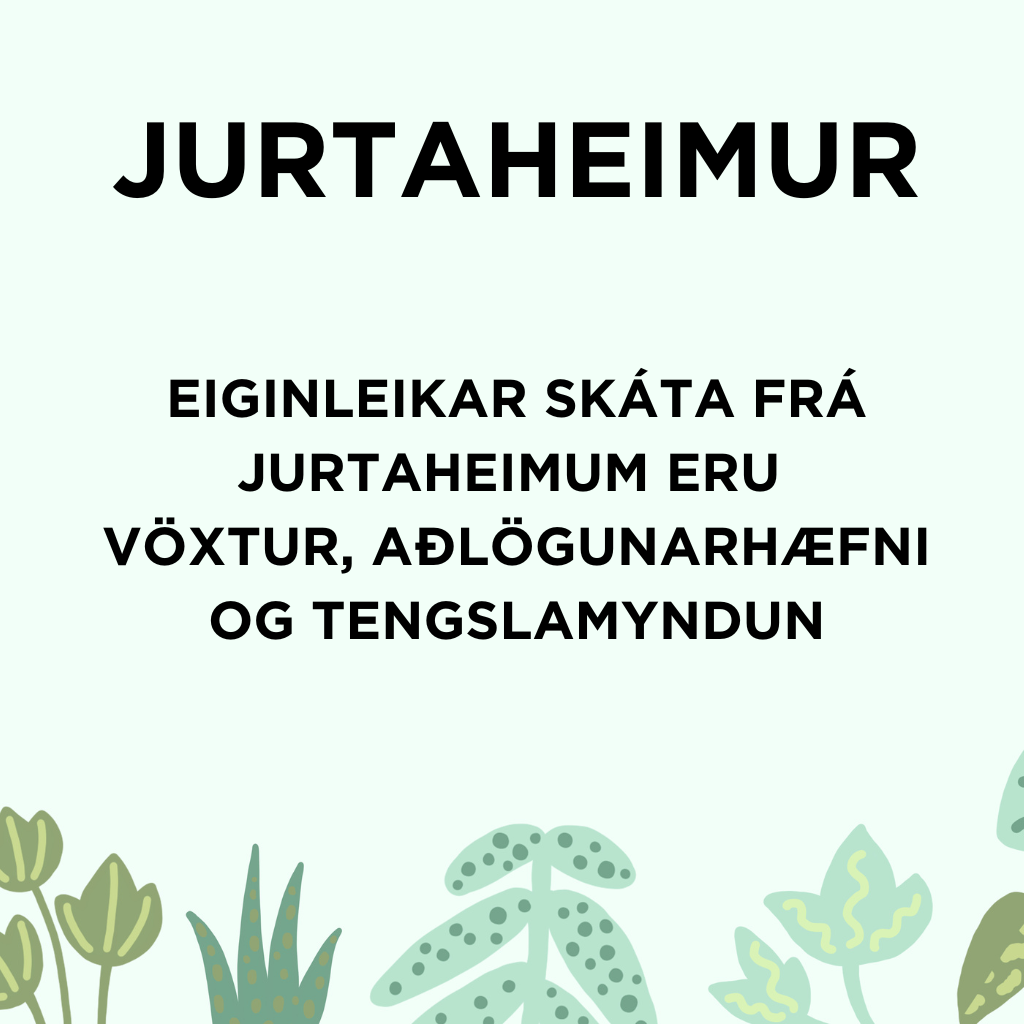 Jurtaheimur